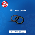 STF Oil Seal