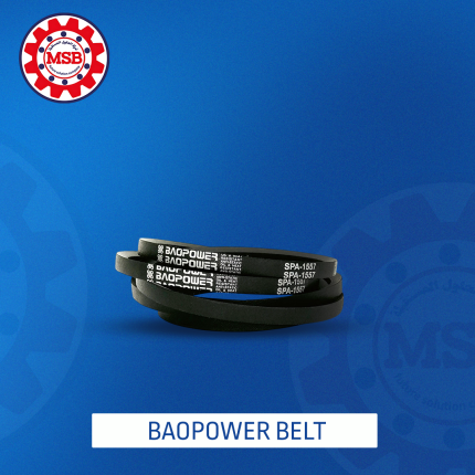 BAOPOWER BELT