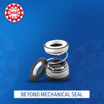 BEYOND Mechanical Seal 
