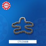 CTS CHAIN