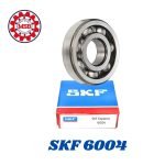 005- SKF 6004 رمان بلي