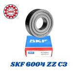 016- SKF 6004 ZZ C3 رمان بلي