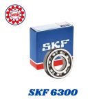 067- SKF 6300 رمان بلي