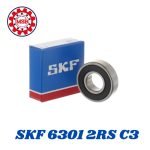 090- 6301 2RS C3 Bearing